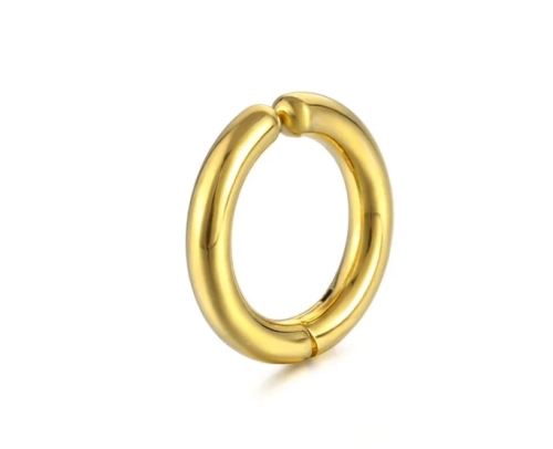 Clips Oorbel - Goud