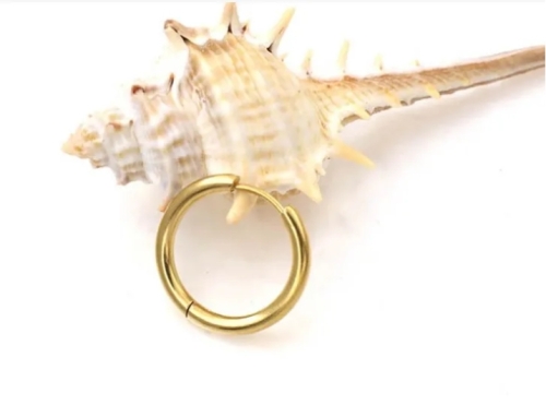 Hoops Oorbellen - Goud