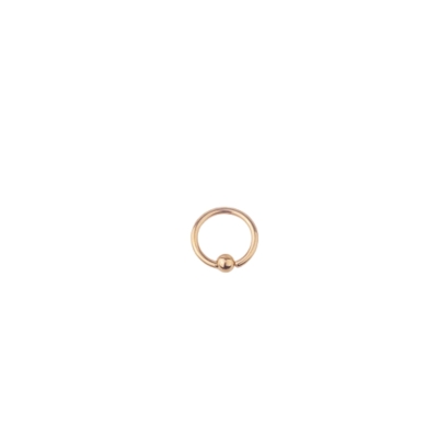 Cirkel Barbell Piercing - Goud