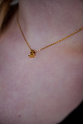 Steenbok Ketting