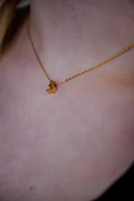 Steenbok Ketting