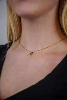 Leeuw Ketting