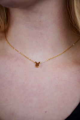 Stier Ketting