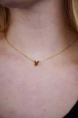 Stier Ketting