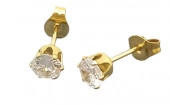 Steker Oorbellen - Goud