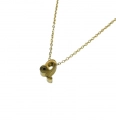 Leeuw Ketting