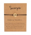 Schorpioen Armband Geschenk